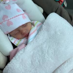 Meet your Posher, Sissy